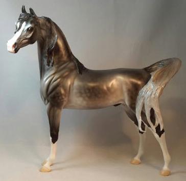 GRASSHOPPER - Dapple Gray Arabian Horse