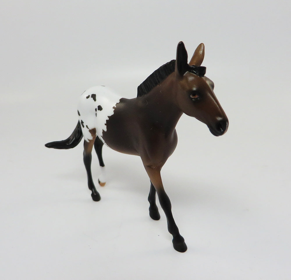 GROVER-LE-8 CUSTOM BAY APPALOOSA MULE CHIPS LHS 2017