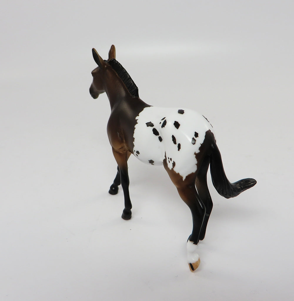 GROVER-LE-8 CUSTOM BAY APPALOOSA MULE CHIPS LHS 2017