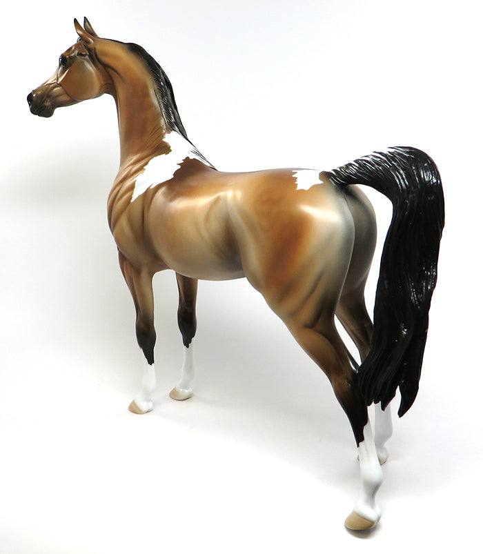 one of a kind arabian