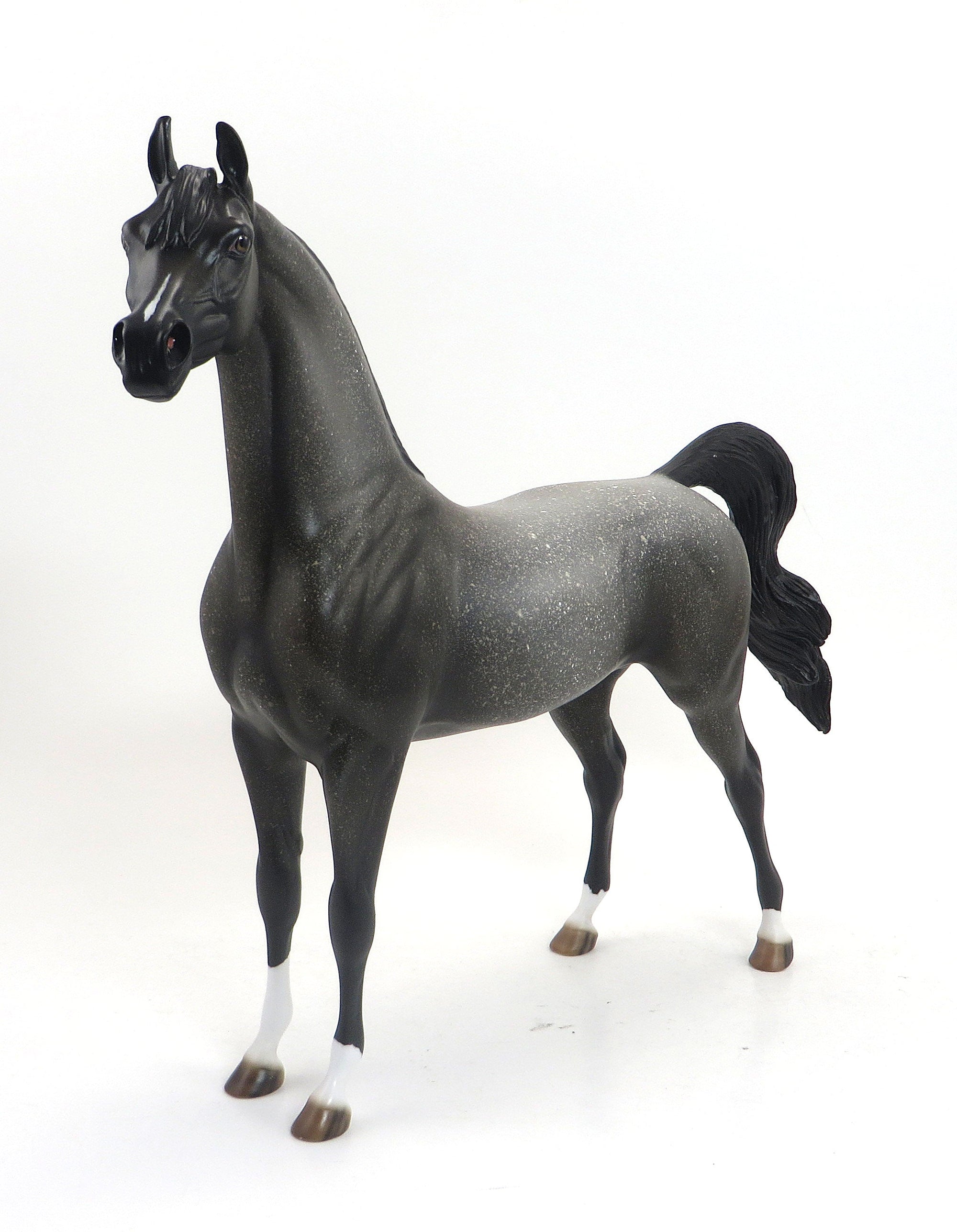MAXIMUS-OOAK-DARK FLEA BIT GREY ARABIAN 9/4