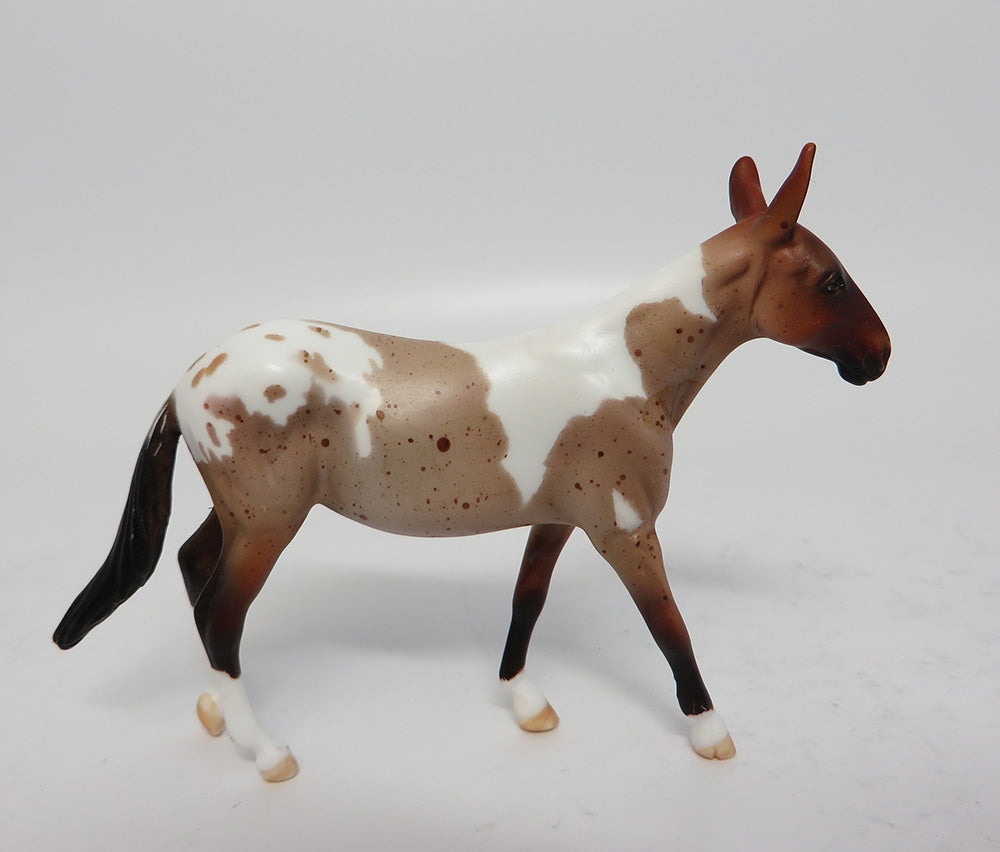 JEEPERS CREEPERS~OOAK BAY ROAN PINTALOOSA MULE CHIP BY DAWN QUICK 10/27/17