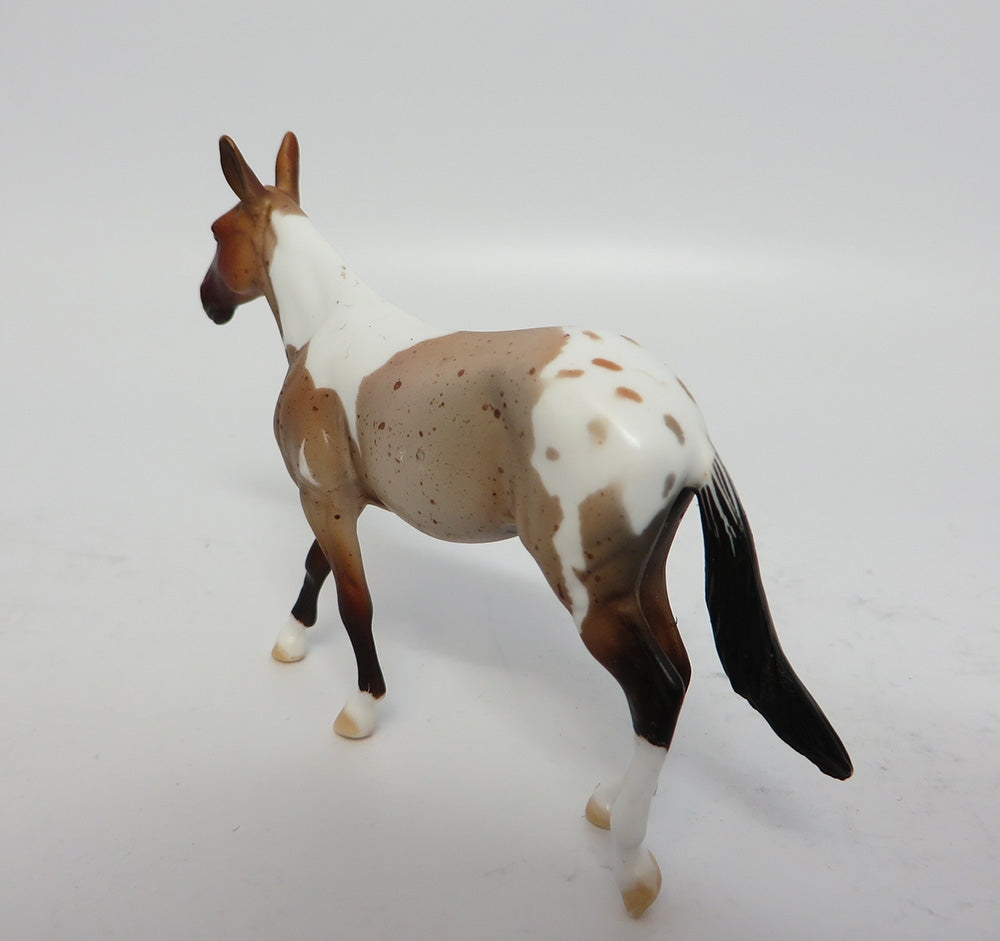 JEEPERS CREEPERS~OOAK BAY ROAN PINTALOOSA MULE CHIP BY DAWN QUICK 10/27/17