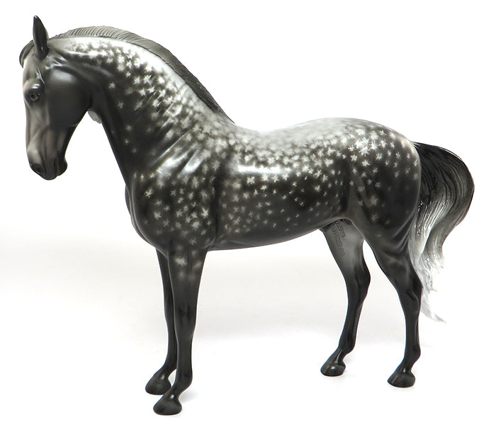 PETER STONE ANDALUSIAN