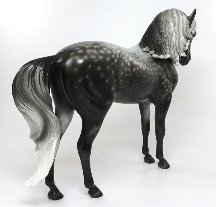 ANDALUSIAN STAR DAPPLE GREY