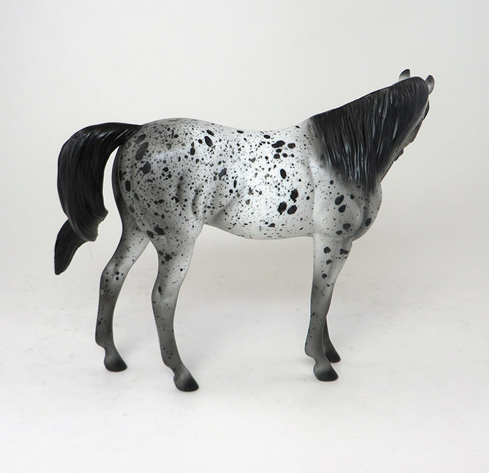 one of a kind appaloosa fiona