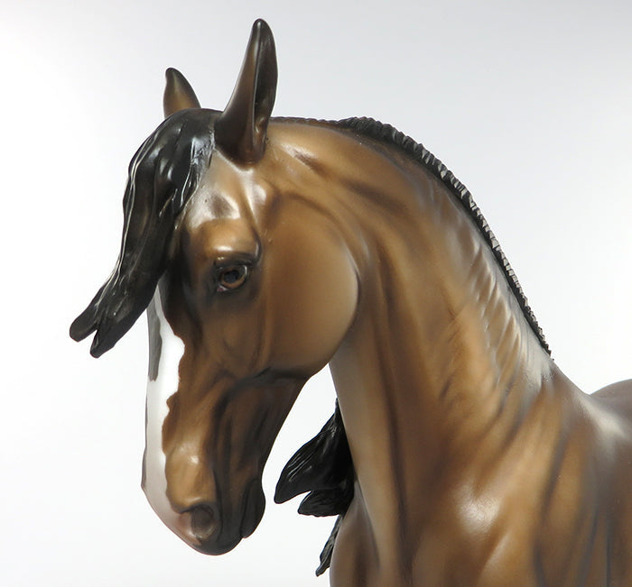 windswept andalusian