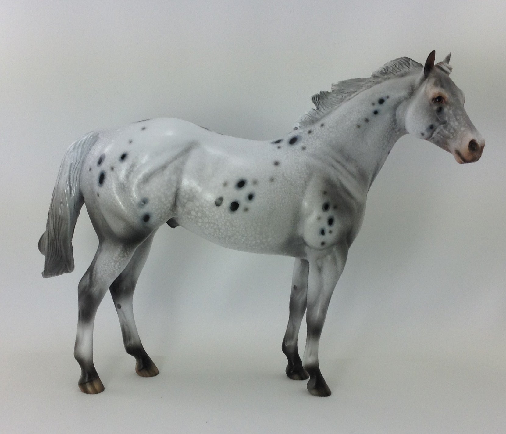 SPOTACIOUS - OOAK CUSTOM ISH