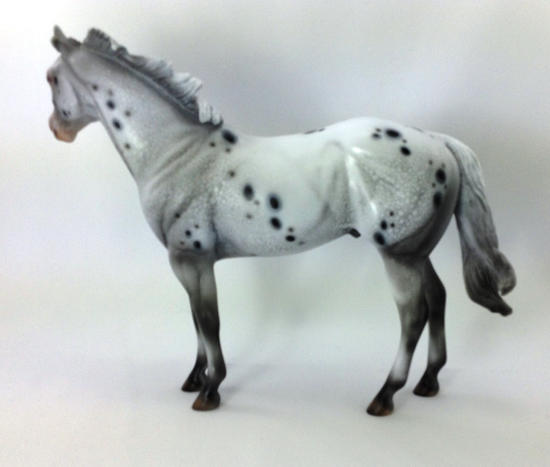 SPOTACIOUS - OOAK CUSTOM ISH