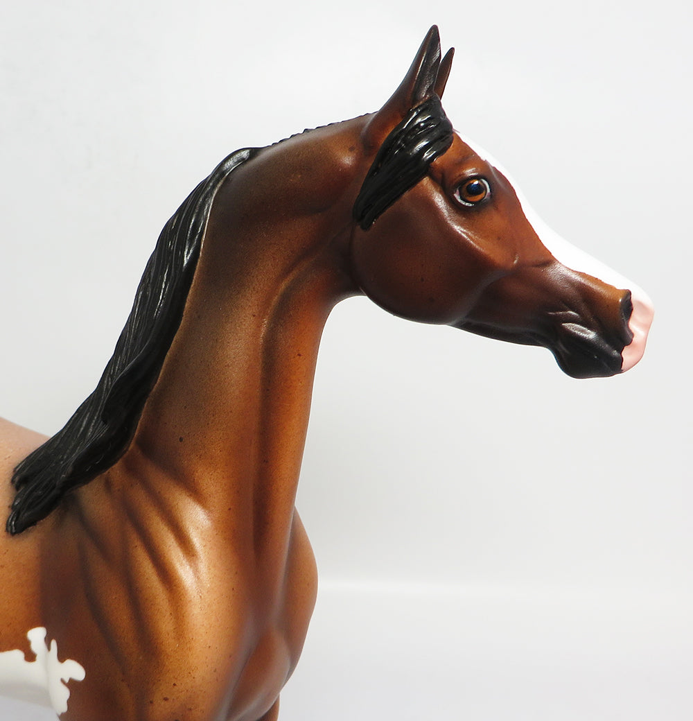 EXPRESS-OOAK BAY SABINO ARABIAN MODEL HORSE 4/26