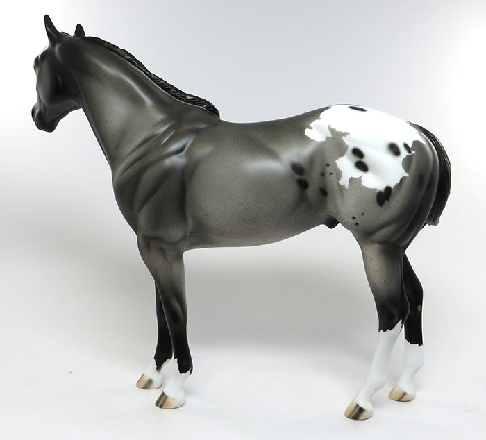 peter stone appaloosa ish