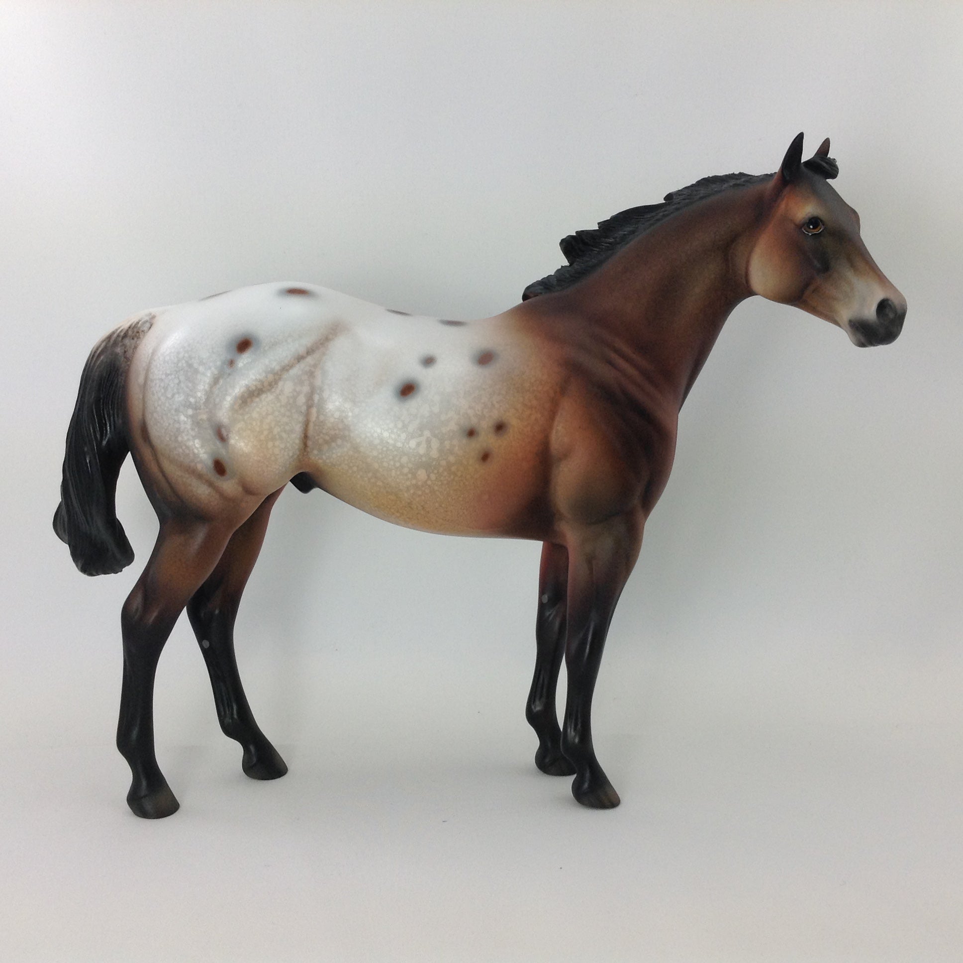 SPOTABULOUS - OOAK CUSTOM ISH