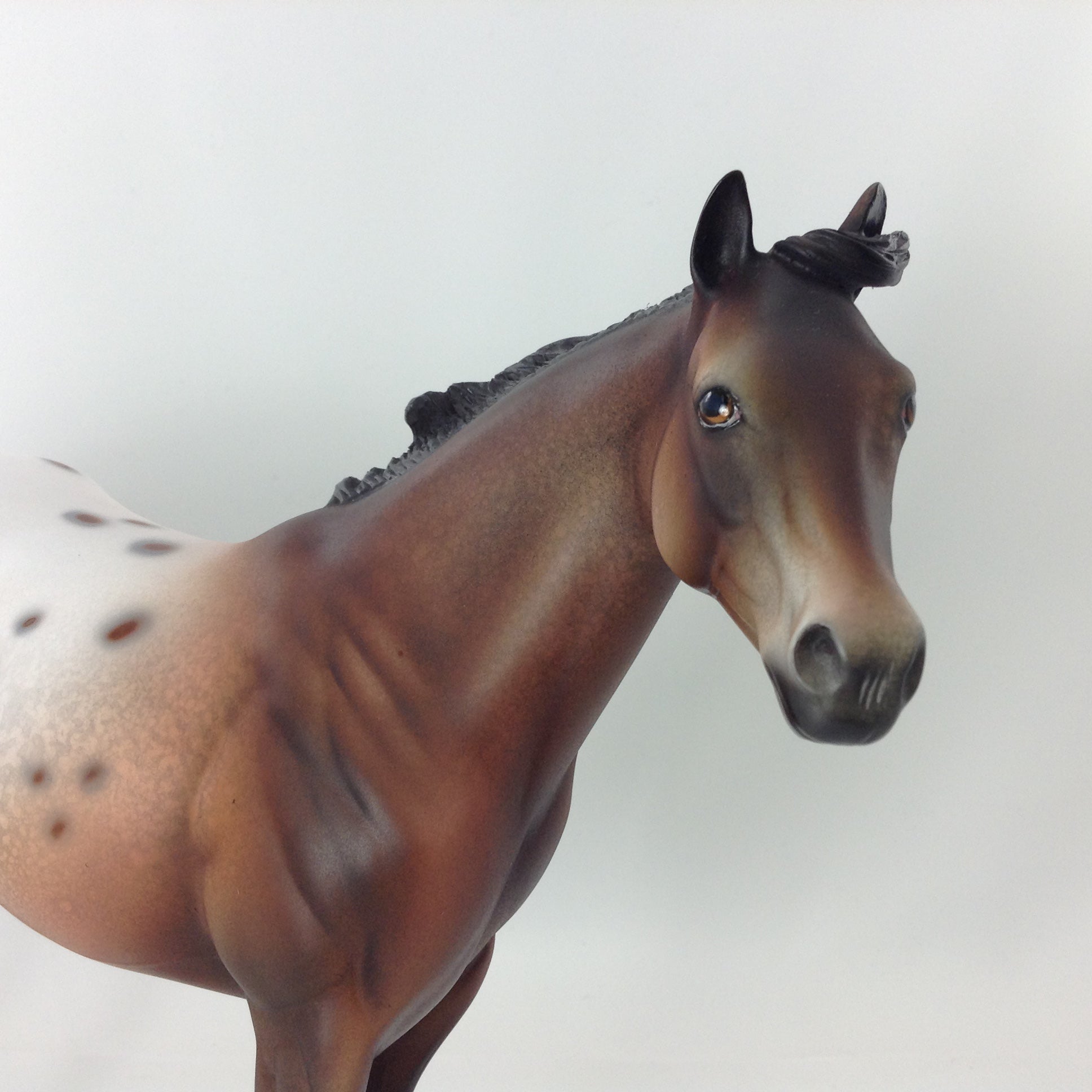 SPOTABULOUS - OOAK CUSTOM ISH