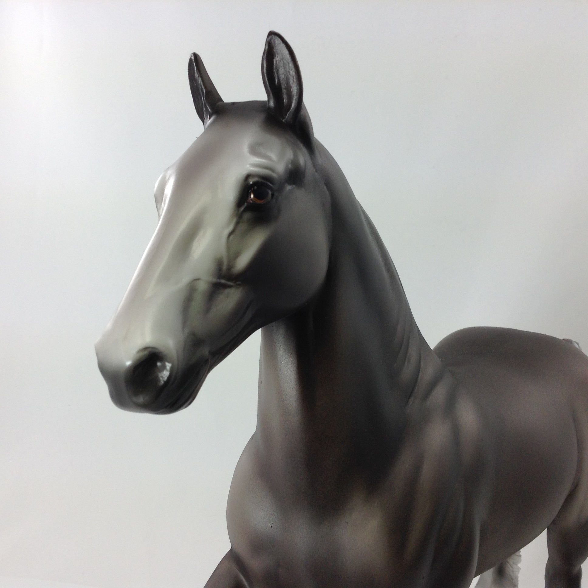 ATLAS - OOAK TROTTING DRAFTER