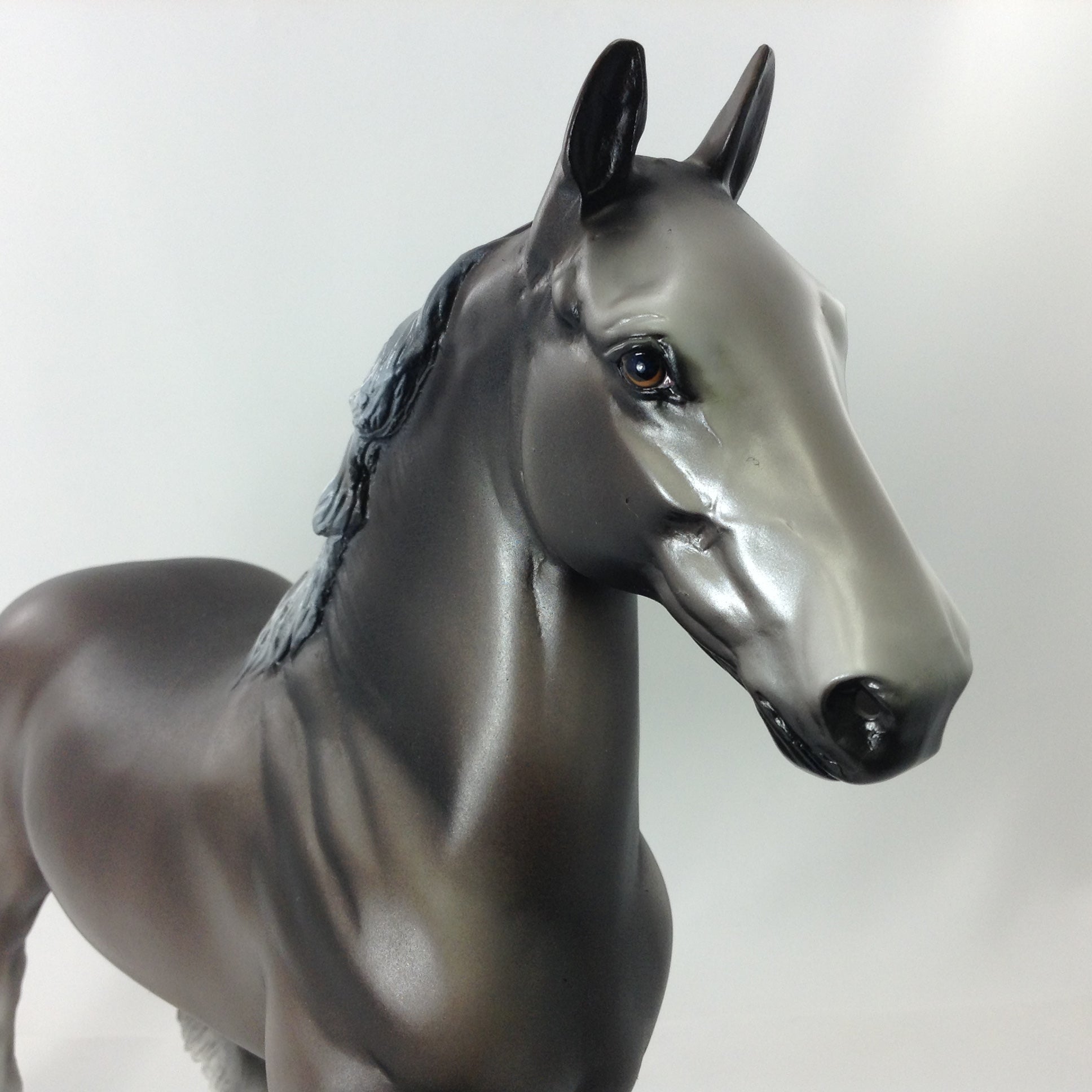 ATLAS - OOAK TROTTING DRAFTER