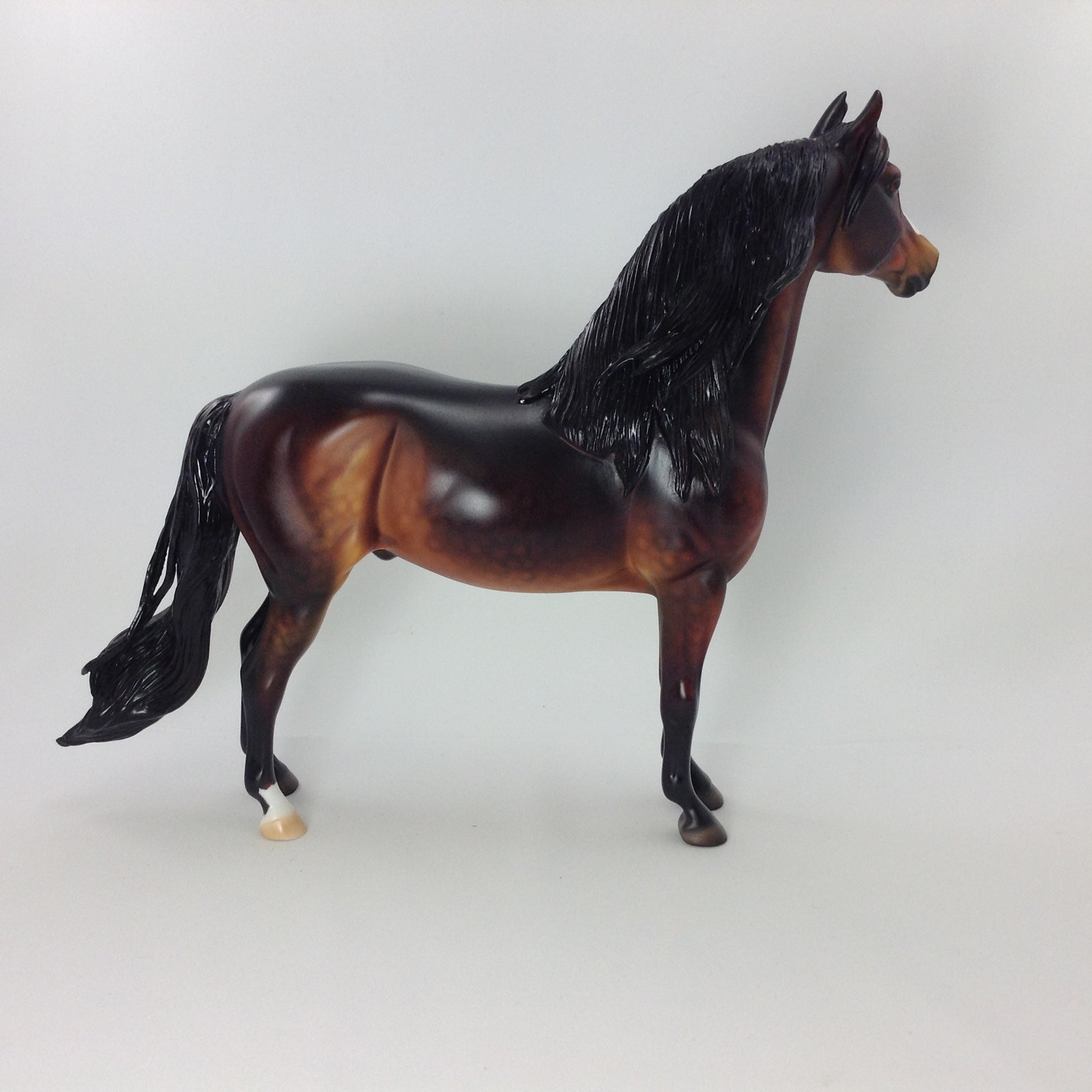 CYRUS - OOAK MORGAN MODEL HORSE