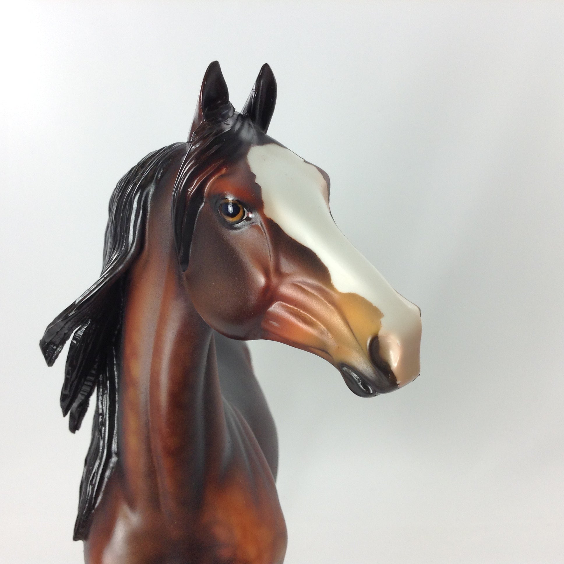 CYRUS - OOAK MORGAN MODEL HORSE