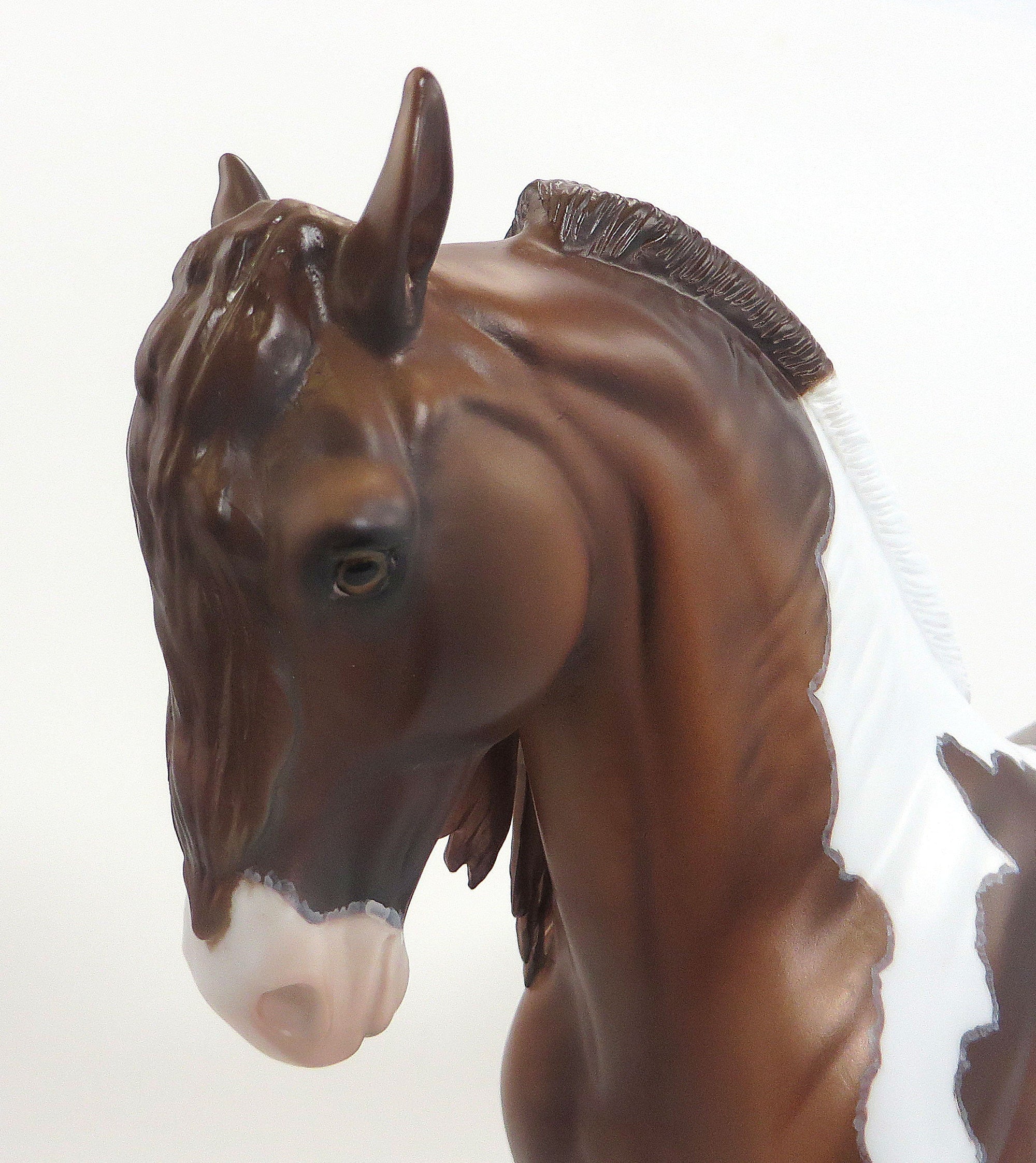 BIRCH - OOAK CHESTNUT PAINT IBERIAN - 9/11