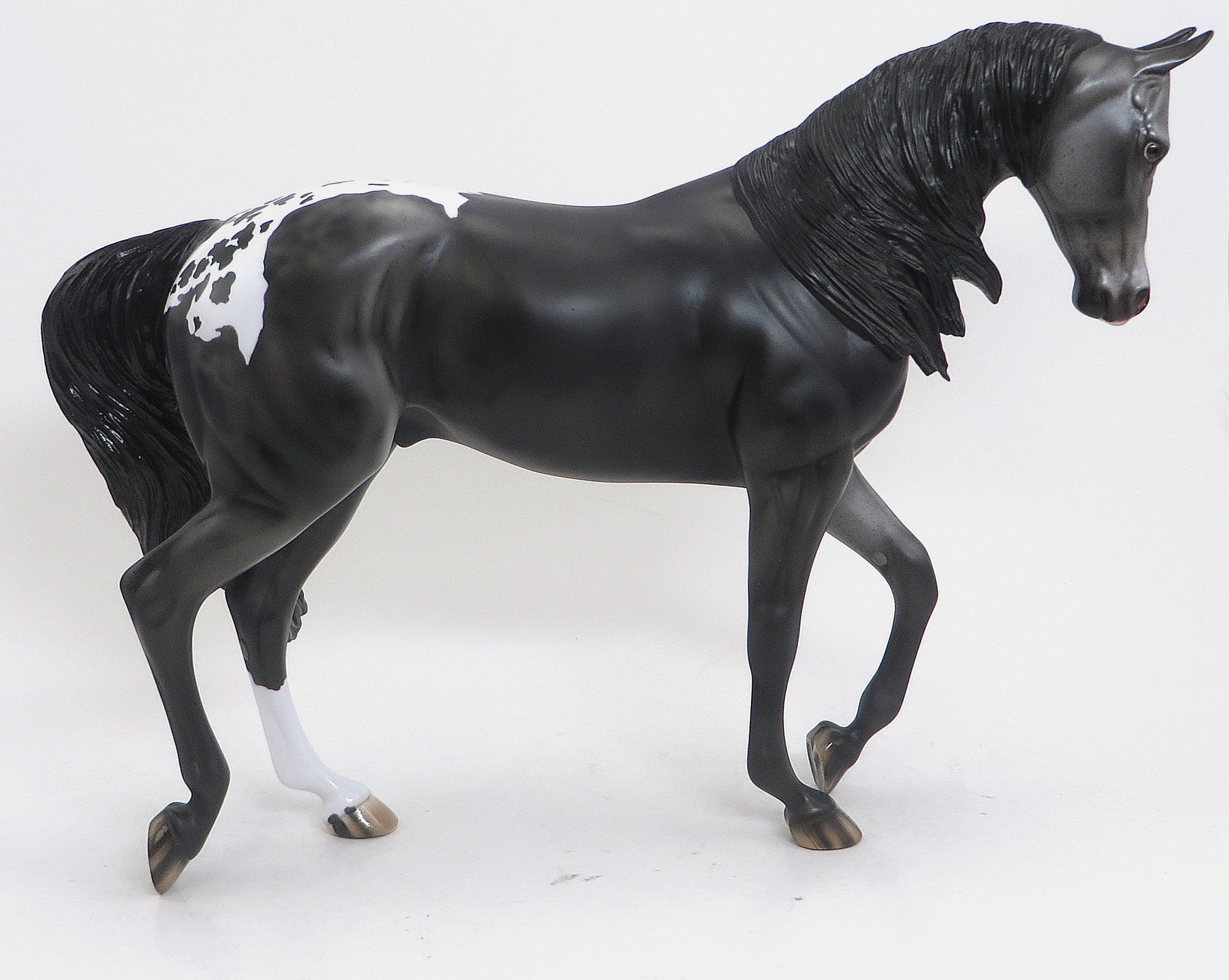 HERMES- OOAK Dappled Blue Roan Blanket Appaloosa Thoroughbred 9/11