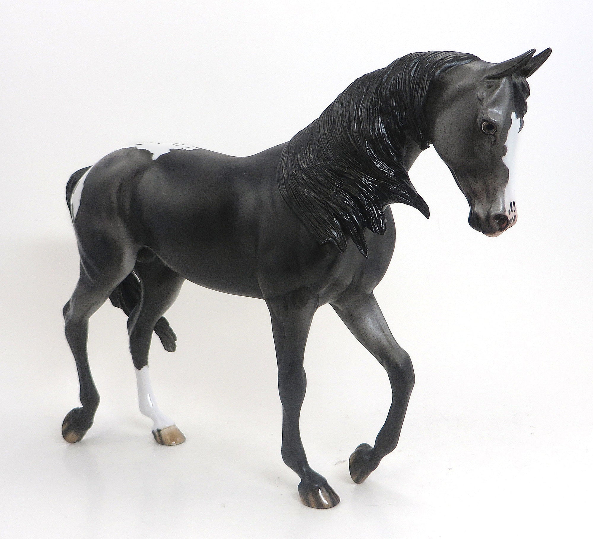 HERMES- OOAK Dappled Blue Roan Blanket Appaloosa Thoroughbred 9/11