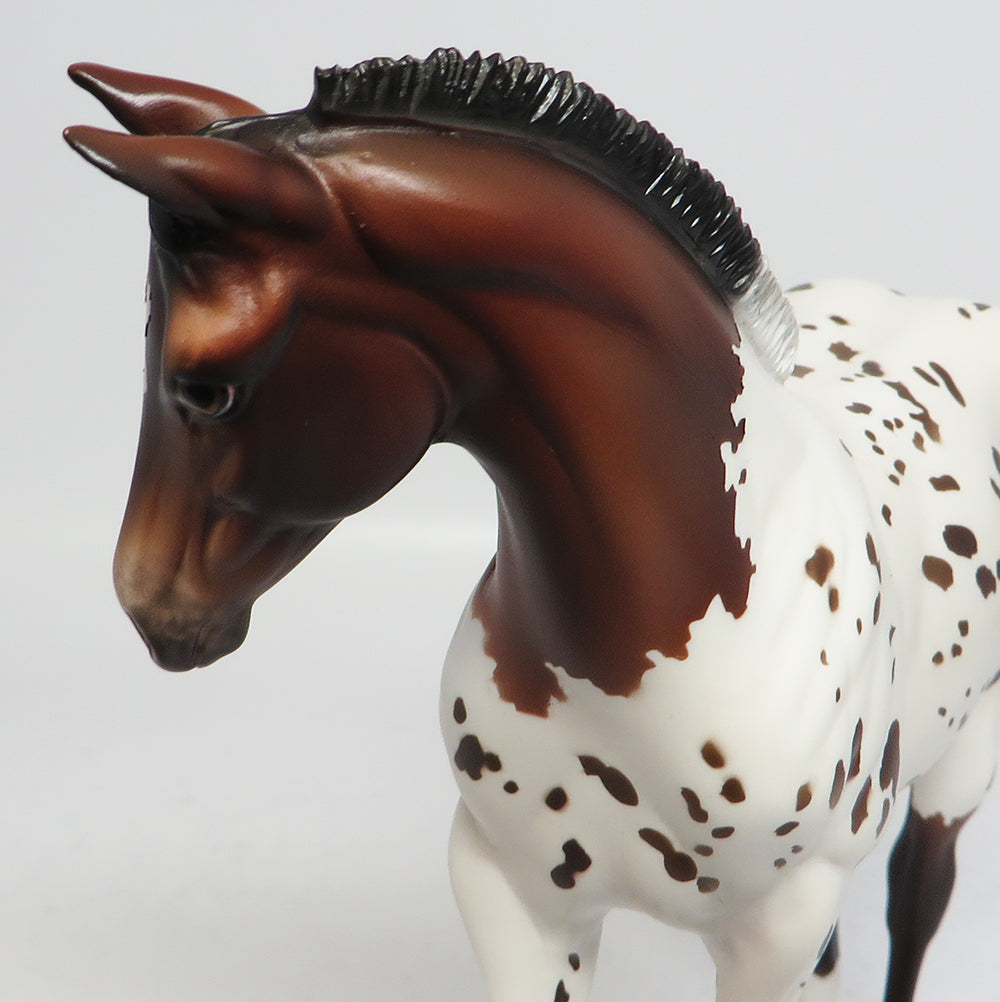 CHOCOLATE SPECS~OOAK BAY LOUD APPALOOSA WEANLING MODEL 4/27