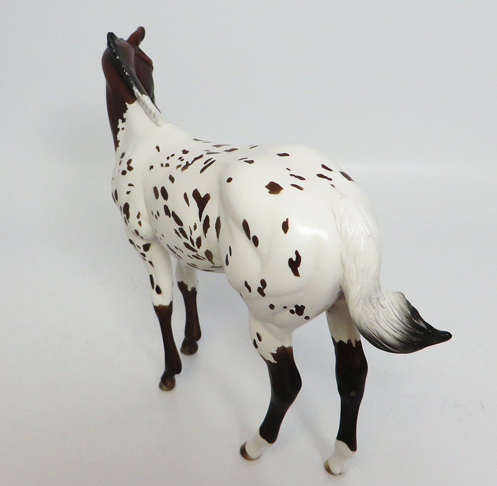 CHOCOLATE SPECS~OOAK BAY LOUD APPALOOSA WEANLING MODEL 4/27