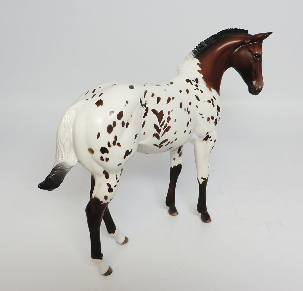 CHOCOLATE SPECS~OOAK BAY LOUD APPALOOSA WEANLING MODEL 4/27