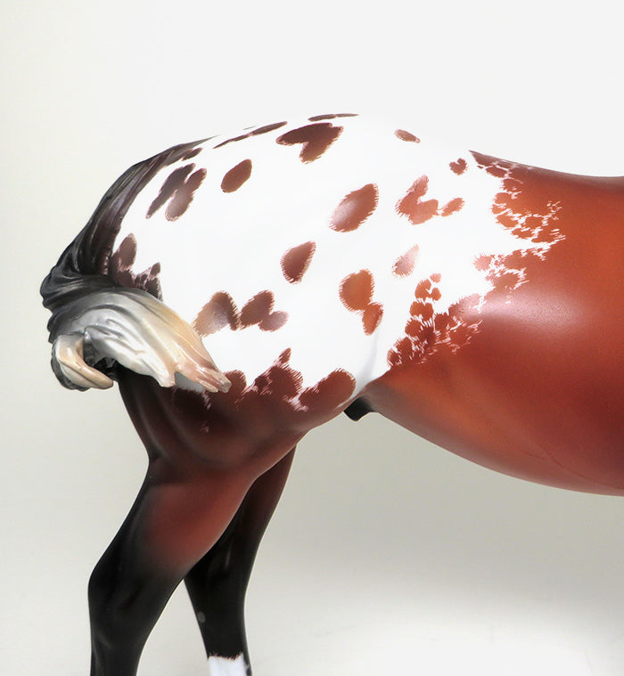 HIGH AND MIGHTY - OOAK BAY ETCHED APPALOOSA ISH by SHEILA BISHOP - 1/22