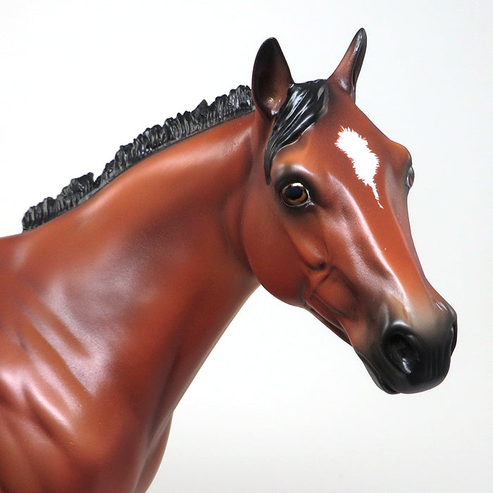 HIGH AND MIGHTY - OOAK BAY ETCHED APPALOOSA ISH by SHEILA BISHOP - 1/22