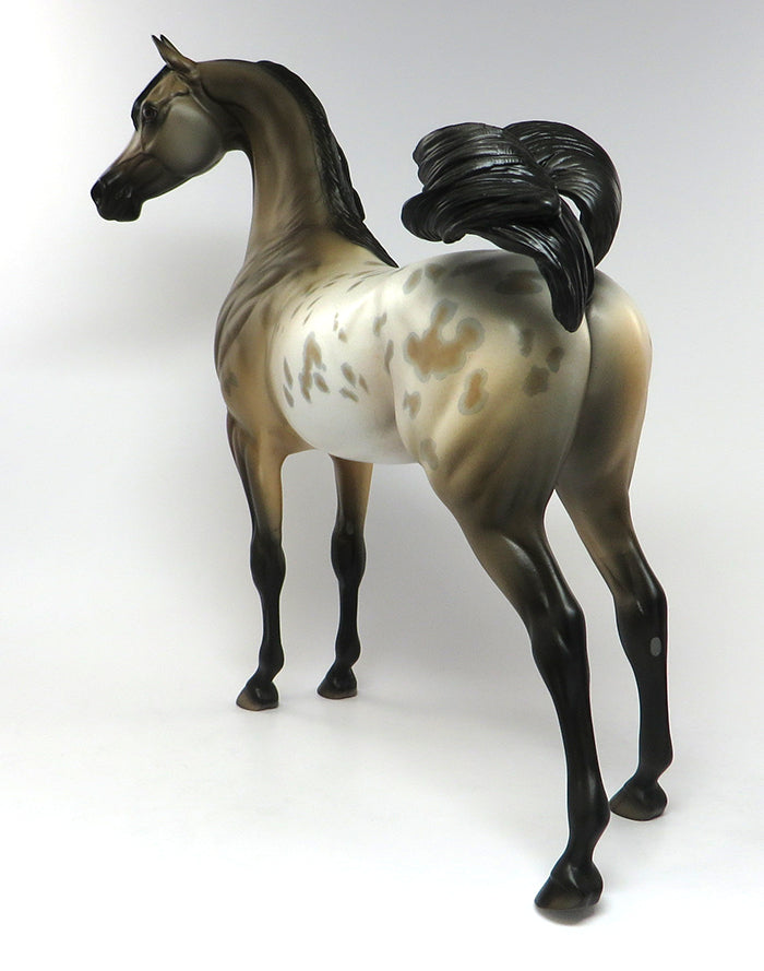 FALCON-OOAK BUCKSKIN APPALOOSA ARABIAN MODEL HORSE 6/15