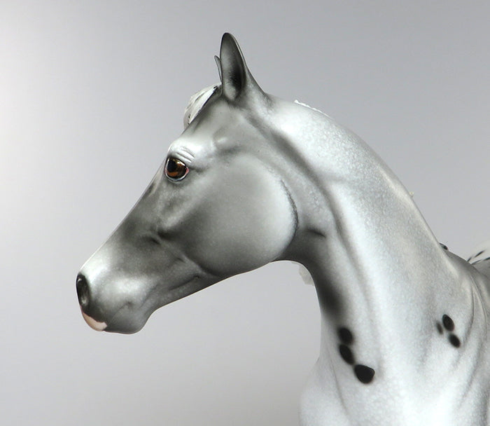HANDSOME JACK-OOAK APPALOOSA MODEL HORSE 6/16