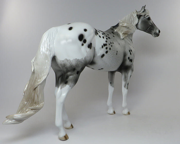 HANDSOME JACK-OOAK APPALOOSA MODEL HORSE 6/16