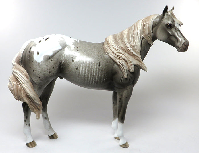 liver chestnut varnish roan man of my dreams