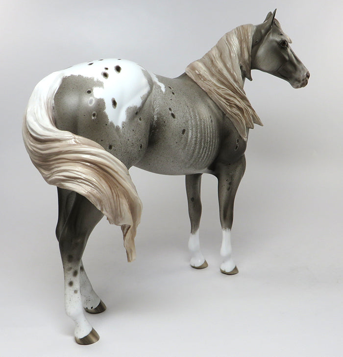 varnish roan appaloosa peter stone