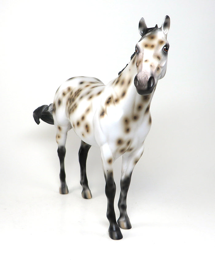 CYPHER - OOAK BUCKSKIN APPALOOSA ISH MODEL HORSE by SHEILA BISHOP - 1/22