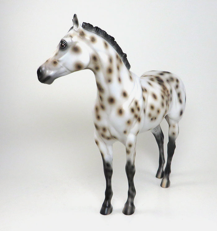 CYPHER - OOAK BUCKSKIN APPALOOSA ISH MODEL HORSE by SHEILA BISHOP - 1/22