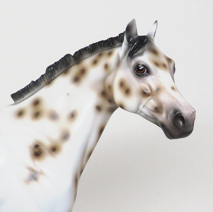 CYPHER - OOAK BUCKSKIN APPALOOSA ISH MODEL HORSE by SHEILA BISHOP - 1/22