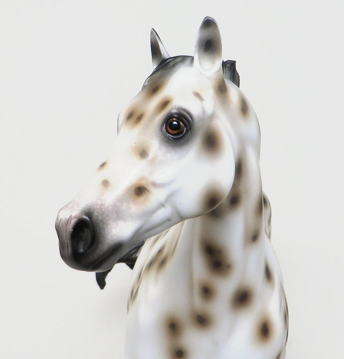 CYPHER - OOAK BUCKSKIN APPALOOSA ISH MODEL HORSE by SHEILA BISHOP - 1/22