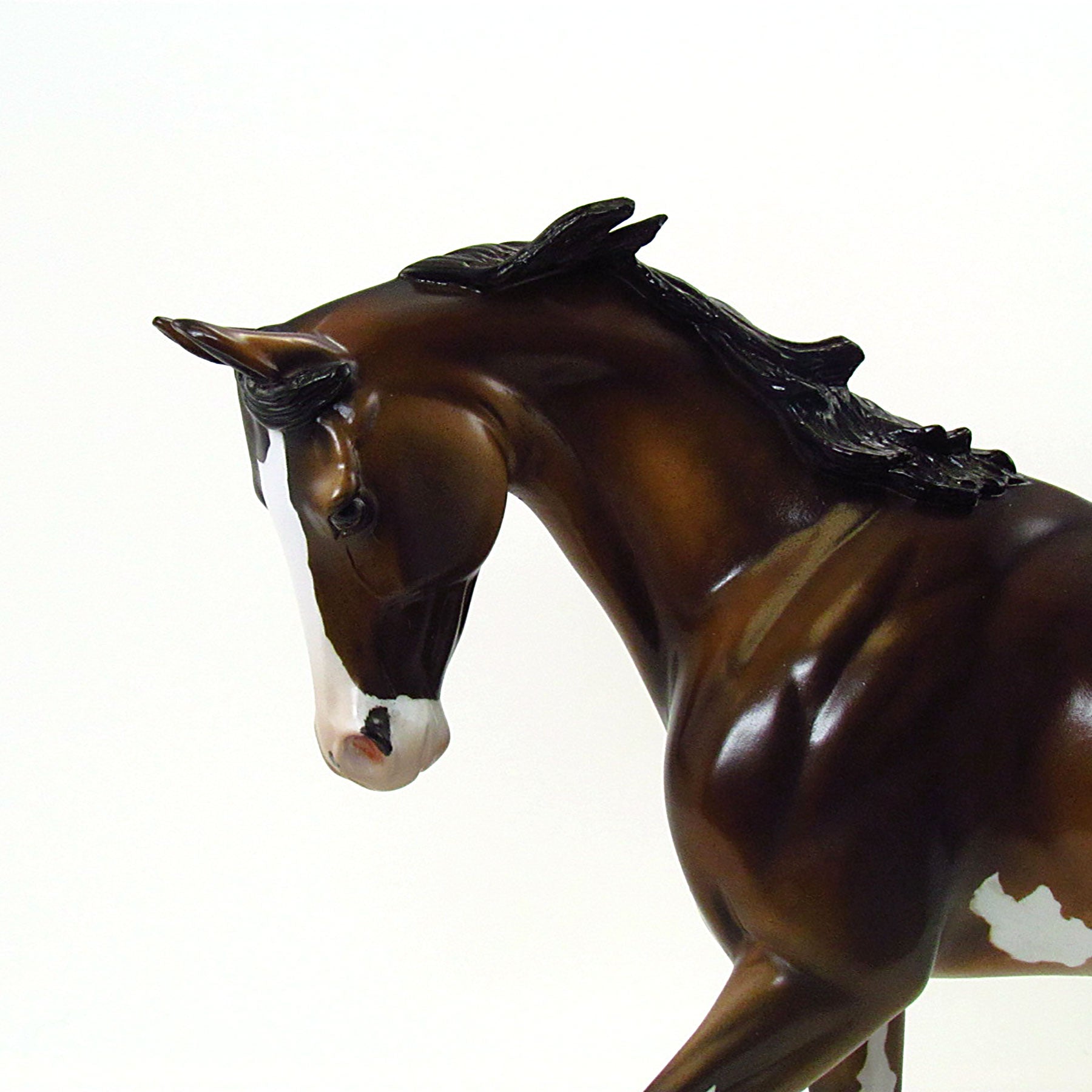 DANCE MASTER - Dappled Bay Pinto Thoroughbred Model Horse - LE13 - 6/15