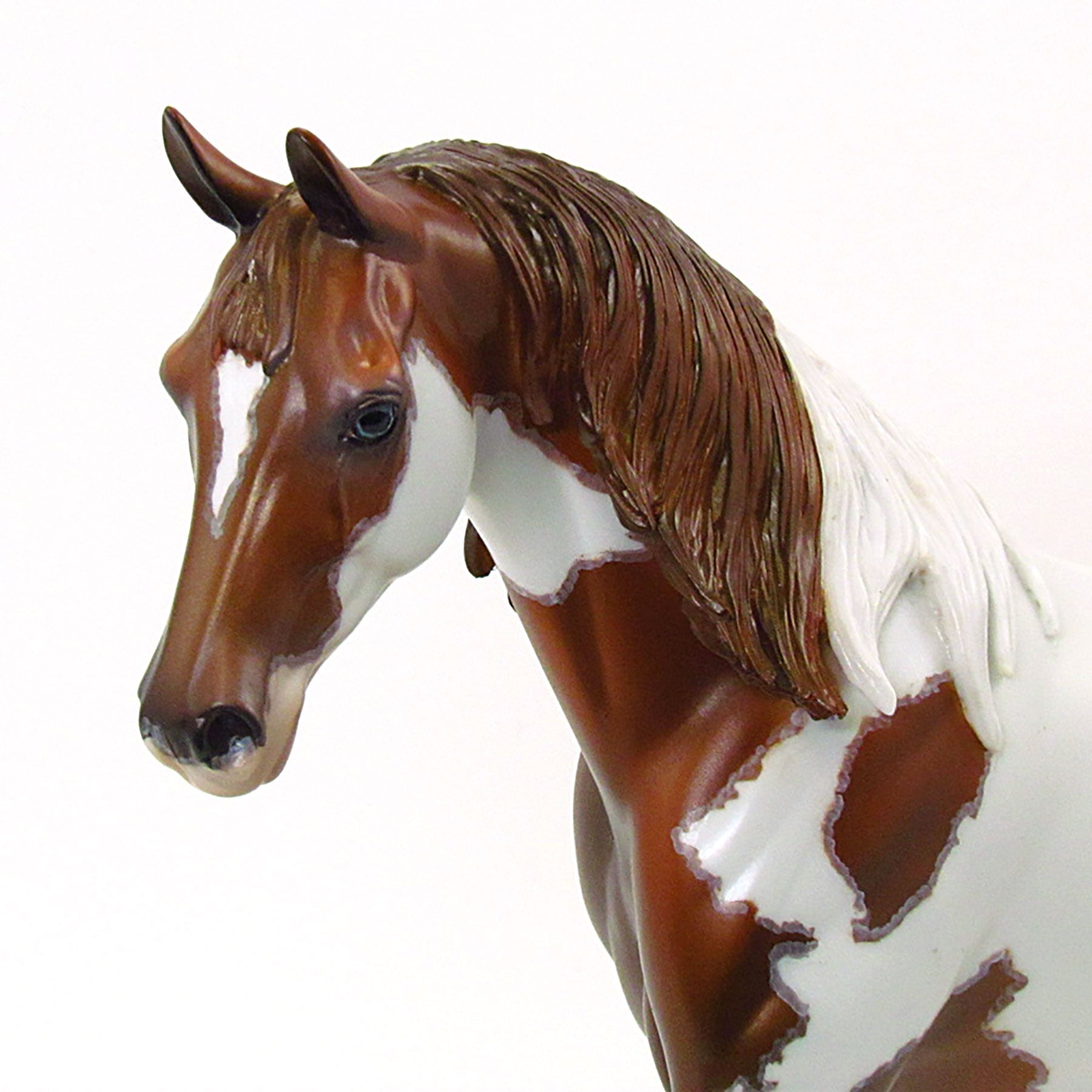 COOKIE MONSTER - OOAK Chestnut Pinto Pony 6/15