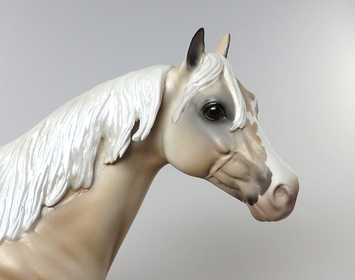 HOTRODDIN KID-OOAK APPALOOSA PALOMINO ISH MODEL HORSE 6/22
