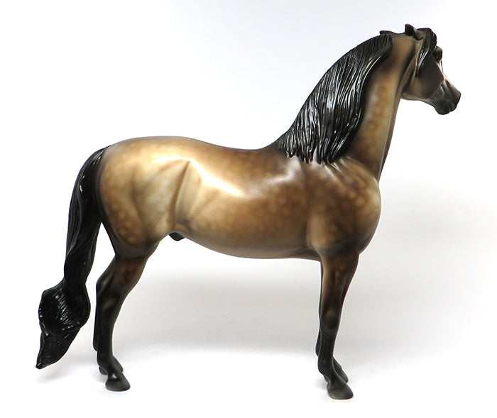 PIERS-OOAK DAPPLE BAY MORGAN MODEL HORSE 6/29