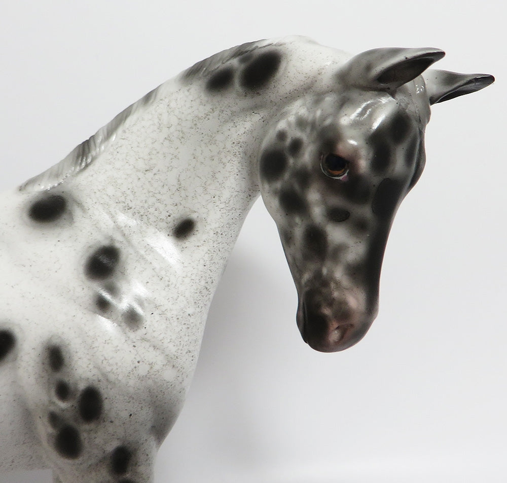CHARLIE GIRL-OOAK CUSTOM LEOPARD APPALOOSA WEANLING MODEL HORSE PAINTED BY SHERYL LEISURE