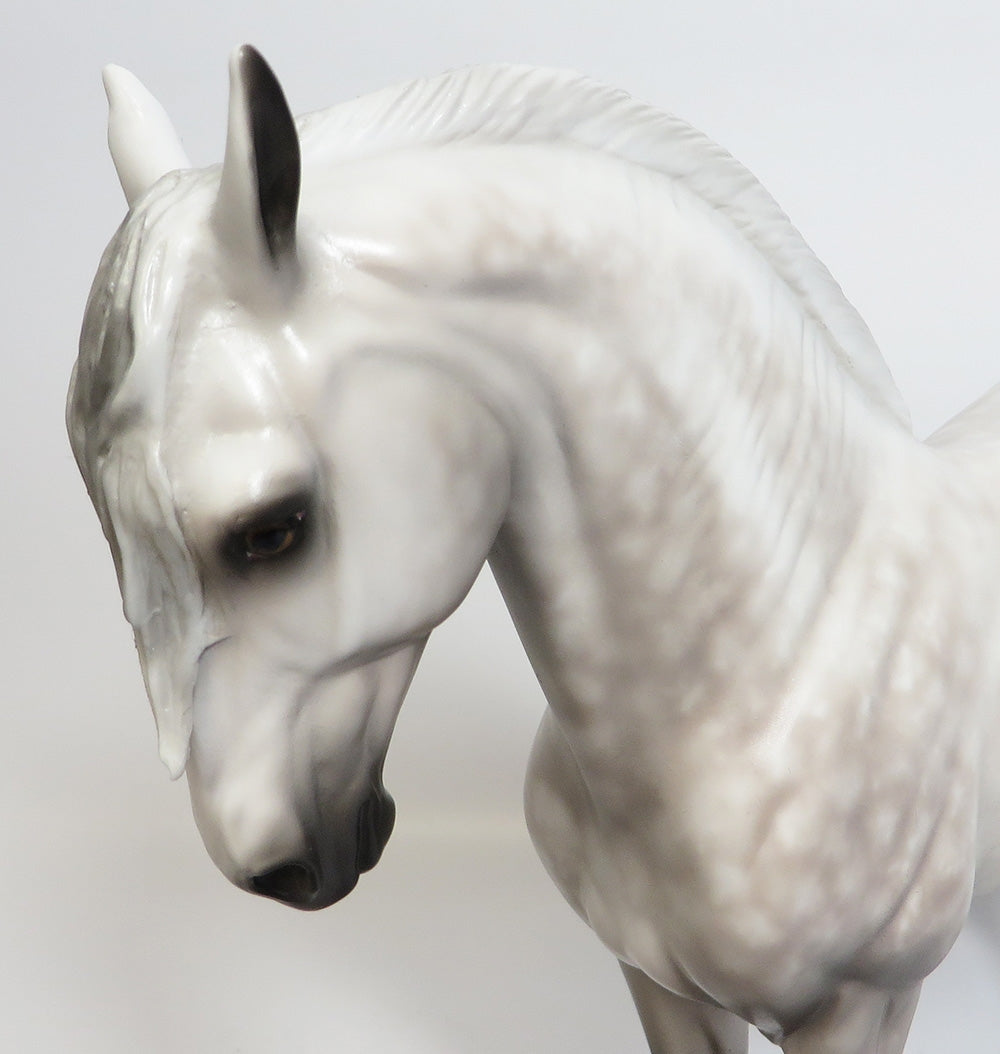 ARTIMIS GREY~OOAK STAR DAPPLE ANDALUSIAN MODEL HORSE BY SHERYL LEISURE 11/13/17