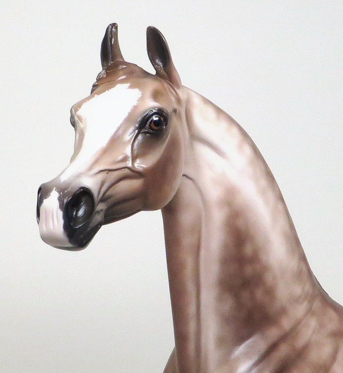 AMARETTO SOUR-OOAK-CHESTNUT GOING GREY ARABIAN MODEL HORSE SHERYL LEISURE 12/30