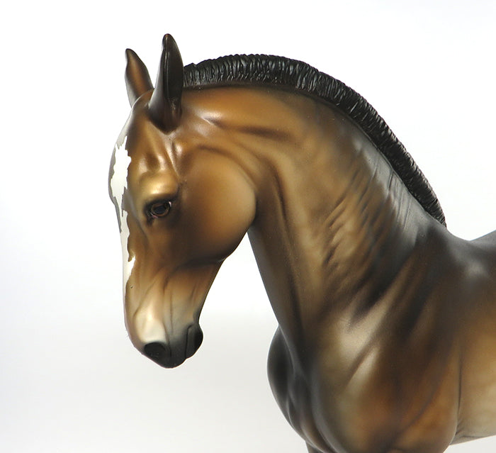 buckskin roached mane andalusian