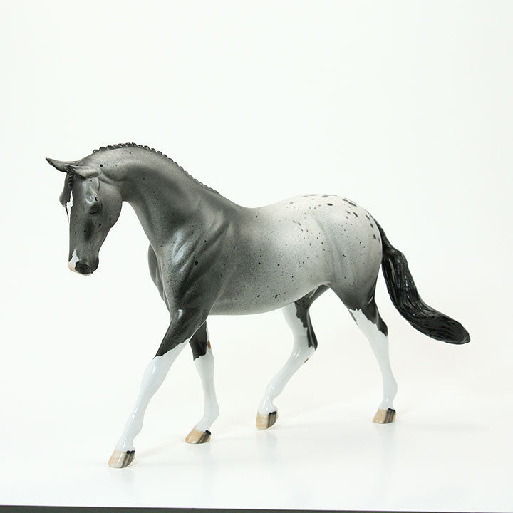 MR. HANDSOME - OOAK Gray Appaloosa Model Horse Pony 6/15