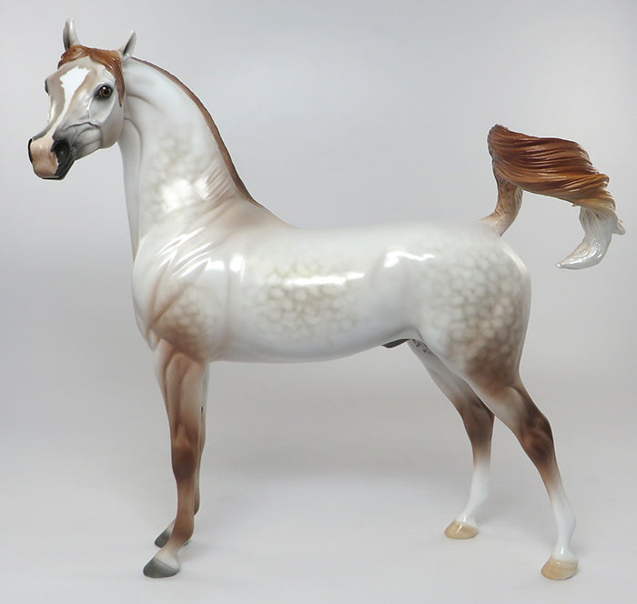 chestnut going grey arabian