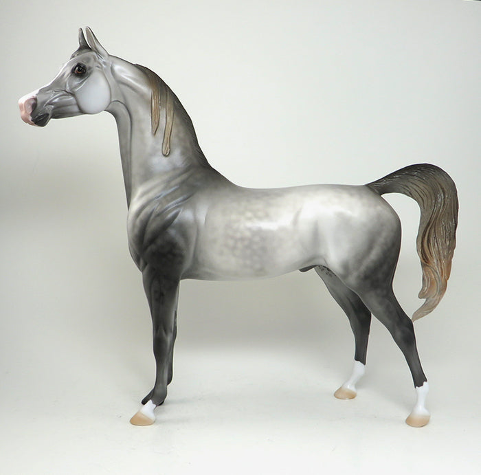 mighty hector grey arabian