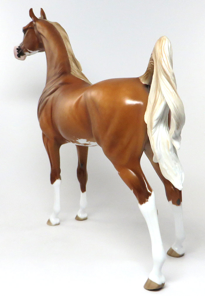 palomino arabian
